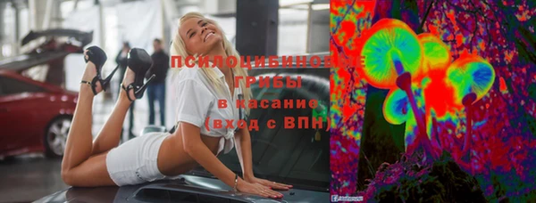МДПВ Абинск