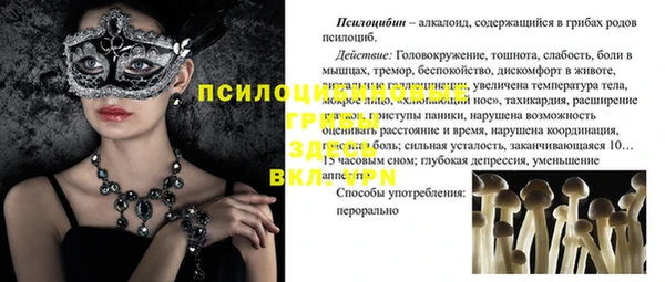 прущая мука Абаза