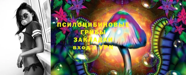 прущий лед Алексин